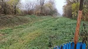 Розорюваність — злочин без кари: Важко протидіяти, коли штрафи сміховинні